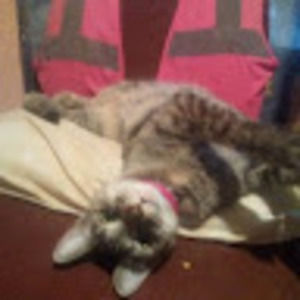 Meet your Posher, Annuanna